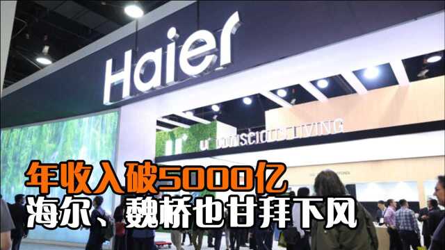 又一黑马企业诞生!年收入破5000亿,海尔、魏桥也甘拜下风