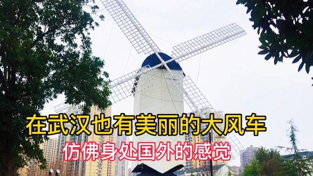 武汉居然有美丽大风车,仿佛身处异域风情的国外,很多人都不知道