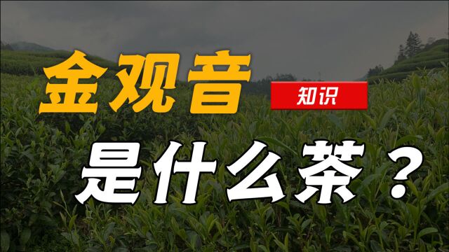 「金观音」是什么茶?或许你并不知道自己喝过