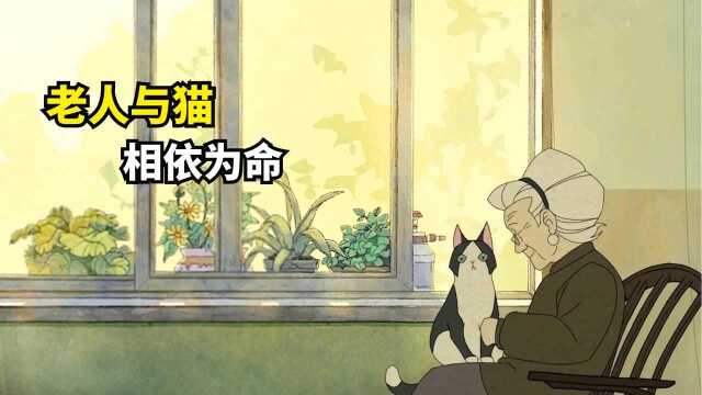 孤独的老人和老去的猫,两人相依为命,坦然面对人生尽头#电影种草指南大赛#