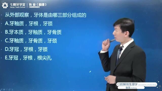 口解—牙冠的表面标志—七颗牙学堂精品课程