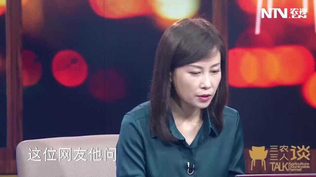 为啥有些地方的宅基地可以抵押贷款?