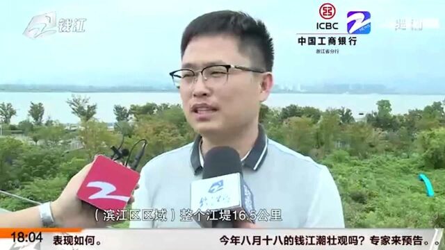 八月十八的钱江潮壮观吗?权威专家现场预测