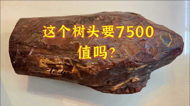 1个小叶紫檀树头7500人民币,比小叶紫檀家具料还贵,你说值吗?