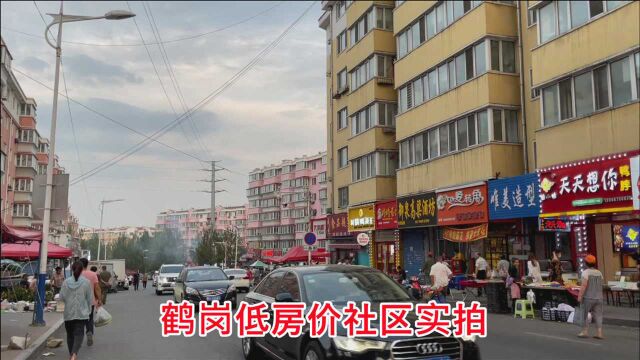 走进鹤岗低房价社区,几万就能买套房配套完善,外地买房的人真多