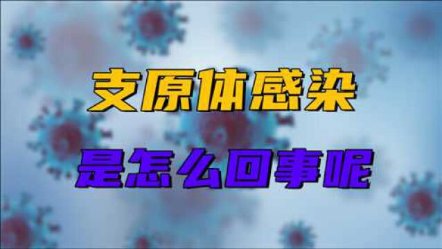 细菌感染要用抗生素,支原体感染又是怎么回事?该如何解决?