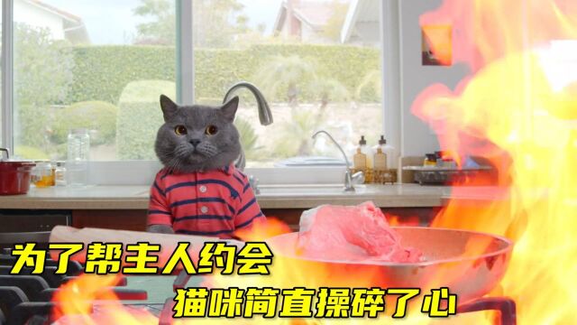 猫咪为主人操碎了心,不仅为他洗衣做饭,还帮忙追求女神#电影HOT短视频大赛 第二阶段#