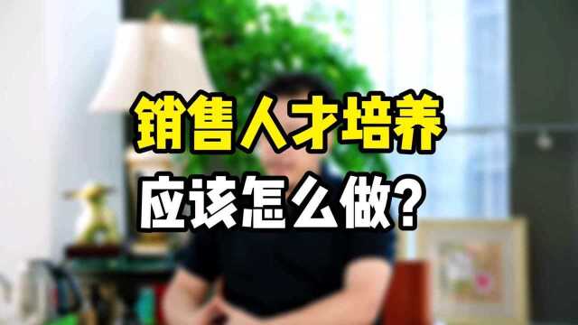 销售管理:设计人才培养机制比人带人更靠谱