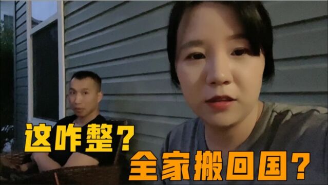 广东婆婆移民美国30年,如今突然要回国养老,儿子儿媳不知所措