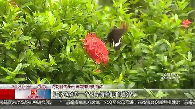 较强风雨+降温一键入秋? 19号起气温重回“3”字头