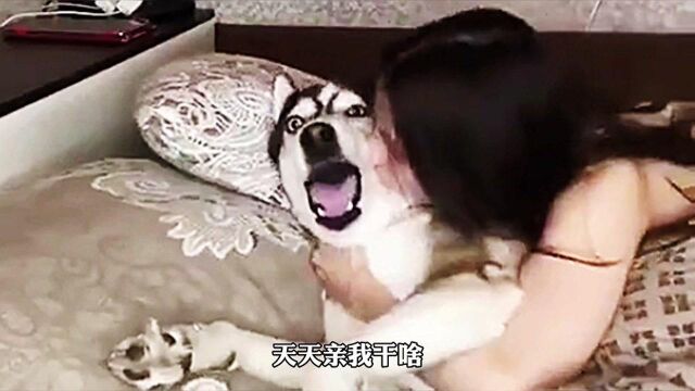 动物搞笑视频