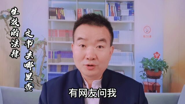 生效的法律文书去哪里查