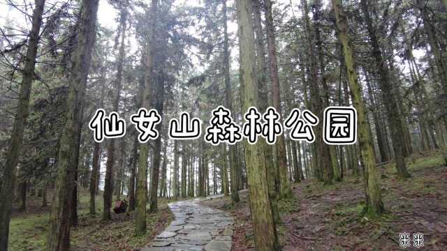 仙女山森林公园