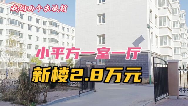 2.8万元41.5平方一室一厅一卫新楼,这个户型非常难得