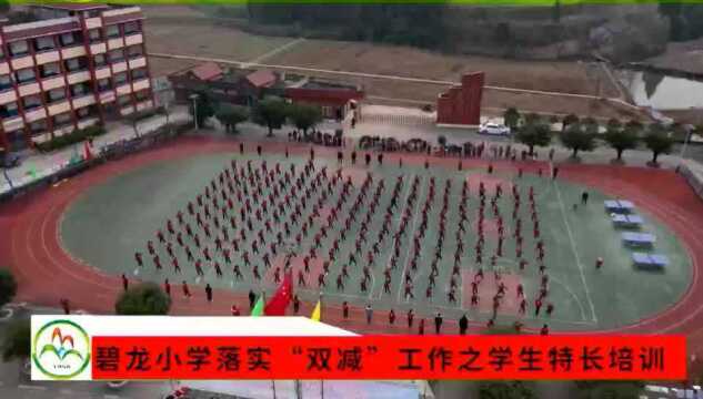 南部县碧龙小学落实“双减”工作之学生特长培训