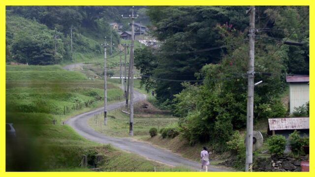 《奇遇人生》里那些美丽的风景,每一帧都是壁纸系列,真是太好看了