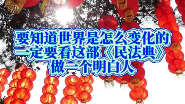 民法典中出乎意料的12条新规和亮点 与你的生活息息相关 #民法典 #法律 #懂法律