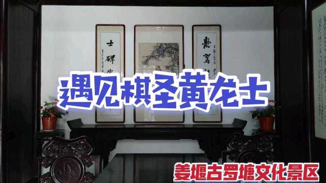 梦回泰州姜堰千年古罗塘,遇见大清十三段围棋棋圣黄龙士