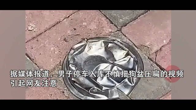 男子开车不小心压坏狗饭碗,狗狗气的堵住停车库,男子只能买新碗