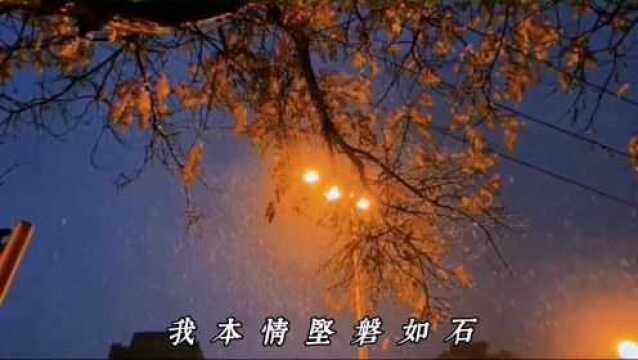 如果你有空,陪我过个冬...《岁末冬寒已谏己》