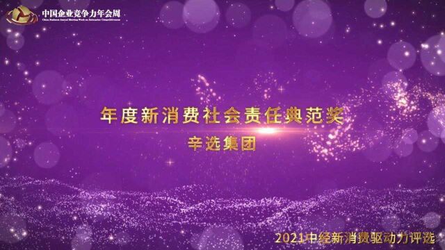 2021年度新消费社会责任典范奖辛选集团