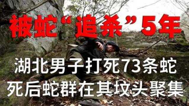 湖北男子打死73条蛇,被蛇“追杀”至死,死后蛇群依旧聚集坟头