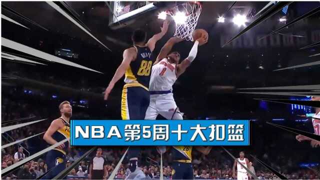 托平直杀内线折叠暴扣!戴维斯自抛自扣 nba第5周十大扣篮