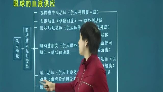 2022眼科主治医师中级考试培训课 眼球的解剖和生理02