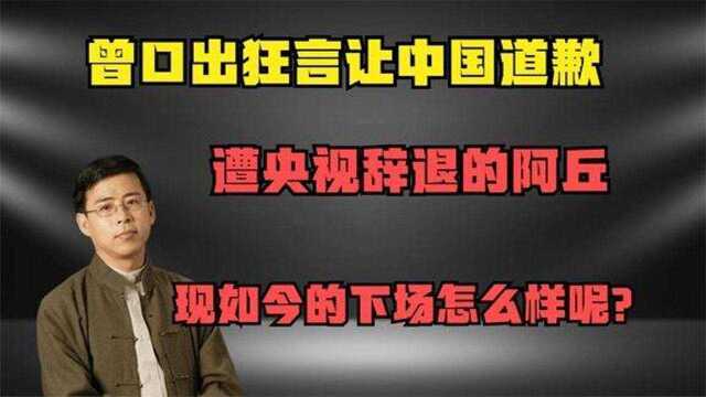 曾扬言让中国道歉,遭央视辞退的阿丘,现如今的下场怎么样呢