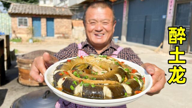 1500买条“土龙”,用4瓶黄酒灌醉,这样做出来的醉土龙太补了