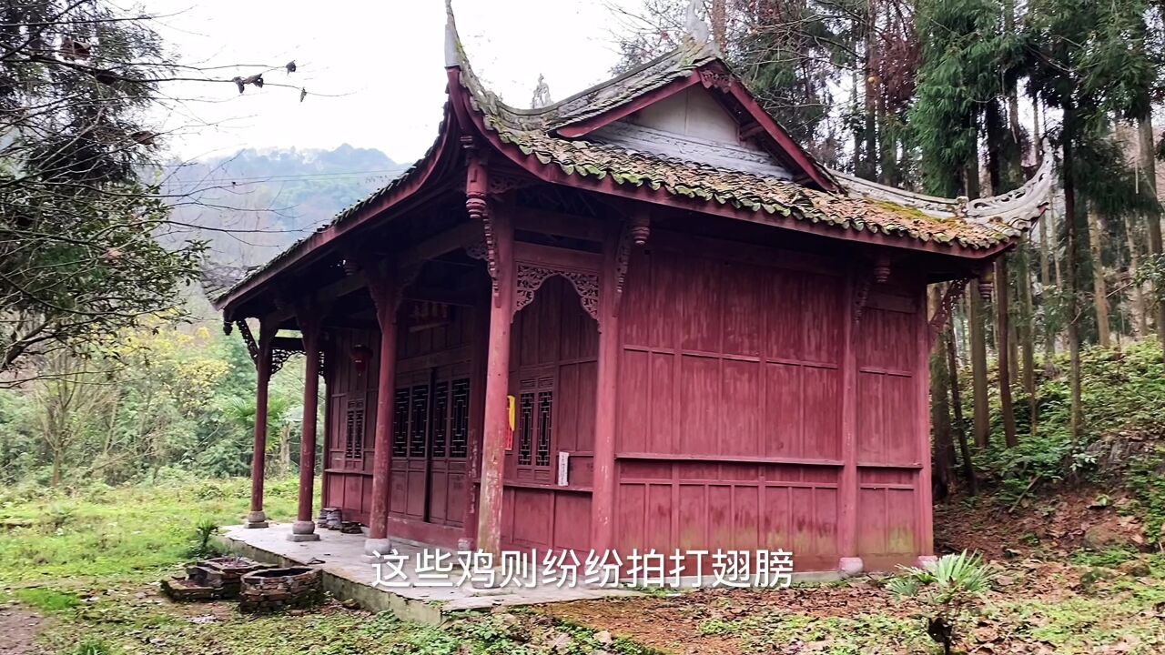 探访青城山早期的佛寺香积寺,庙门紧闭僧人离去,只剩下离奇的传说故事