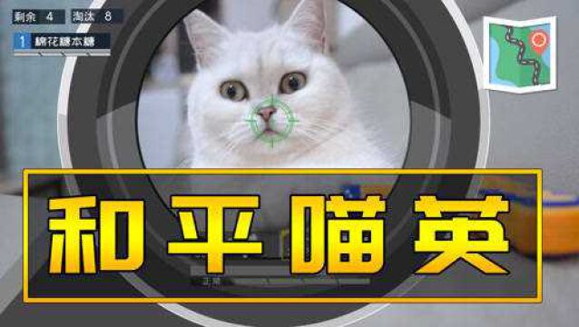 大吉大利,猫咪吃鸡2