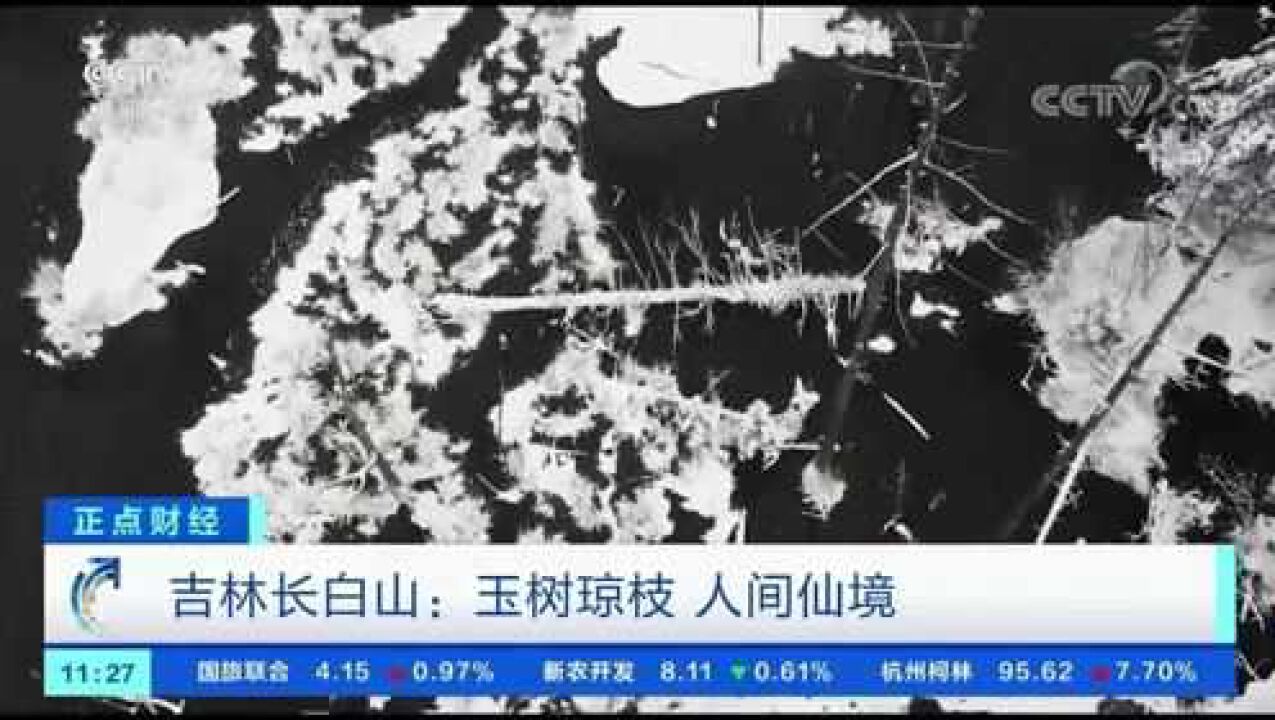 吉林长白山:玉树琼枝 人间仙境