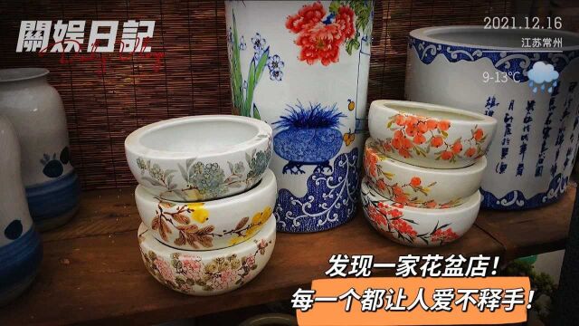 无意中发现一家花盆店!为啥每个盆都那么好看?好想都搬回家!