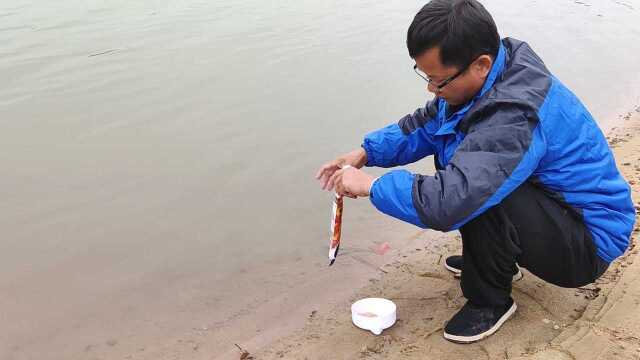 钓鱼,经典老三样饵料的实测效果,看完才明白原来是这样的