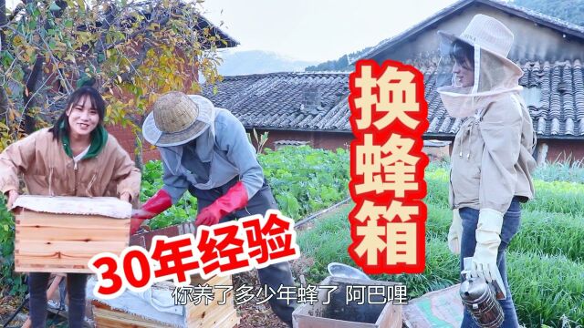 山里野蜂产的蜂糖不够吃,鑫妹儿到阿巴家买几窝蜂子,自家养来吃