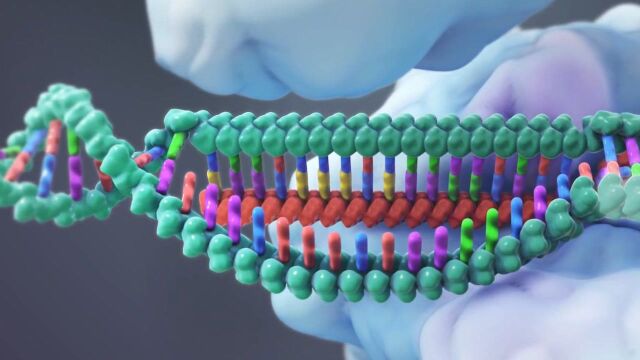 CRISPR能做的可不仅是基因剪辑,这一技术革命才刚刚开始!