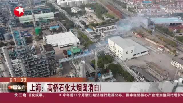 上海:高桥石化大烟囱消白烟 打造绿色城市型工厂