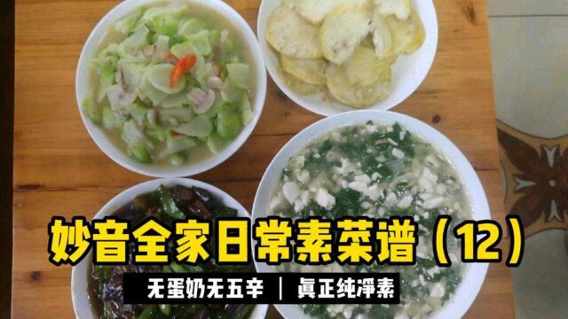 妙音全家日常素菜谱(12),素食之路将会带来无限惊喜.