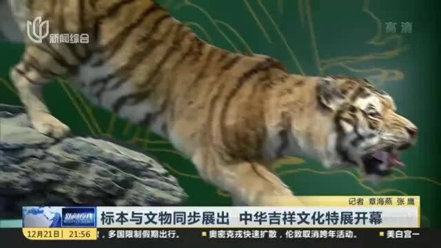 标本与文物同步展出 中华吉祥文化特展开幕