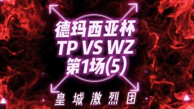 德玛西亚杯TPVSWZ第1场(5)皇城激烈团