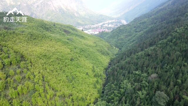 流水淙淙,飞瀑流泉,竹影婆娑,四川雅安市芦山县宝盛场千子沟