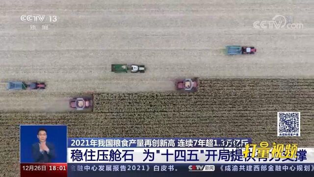 2021年我国粮食产量再创新高,连续7年超1.3万亿斤