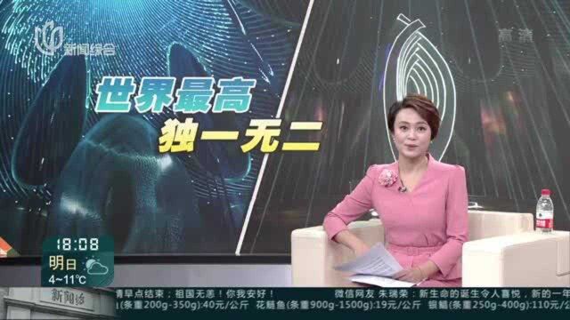 上海中心:天时632艺术空间首演 互动沉浸式演绎“独一无二”