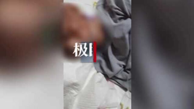 【视频】家属投诉老人在养老院“2个月瘦了近20斤”,洛阳民政部门介入调查