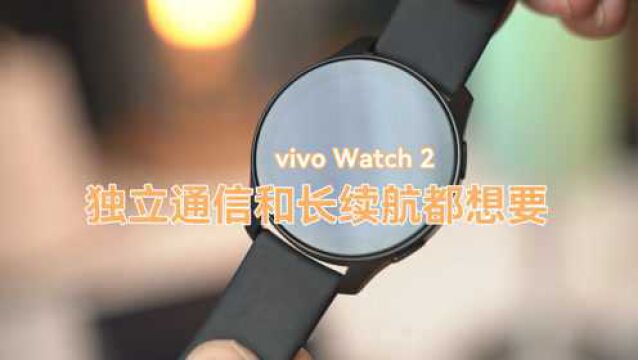 vivo Watch 2评测:独立通信与长续航兼得的一款智能手表