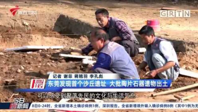 考古新发现 东莞发现首个沙丘遗址 大批陶片石器遗物出土