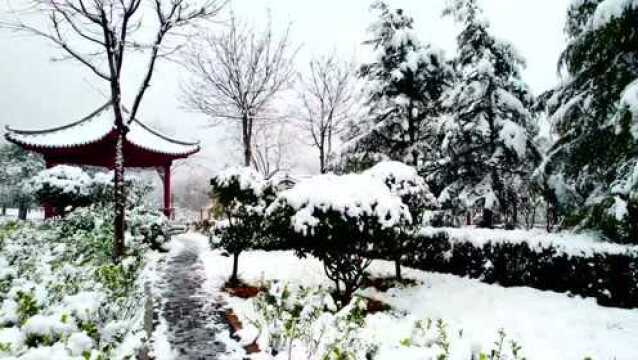 【视频】雪后宜阳就是这么美