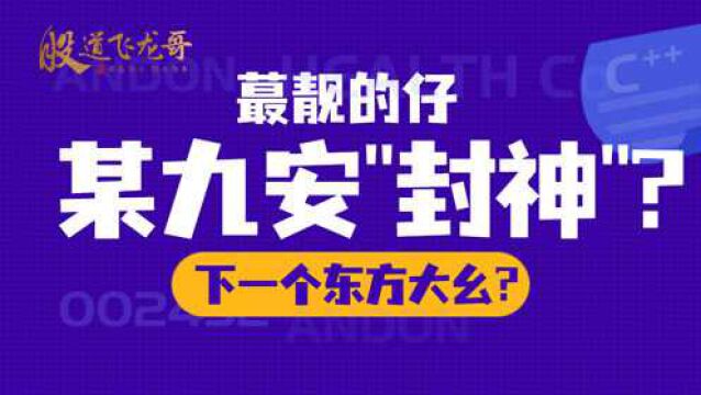 某九安又双叒叕涨停,方新侠砸盘1.07亿后哪位柚子封的板?