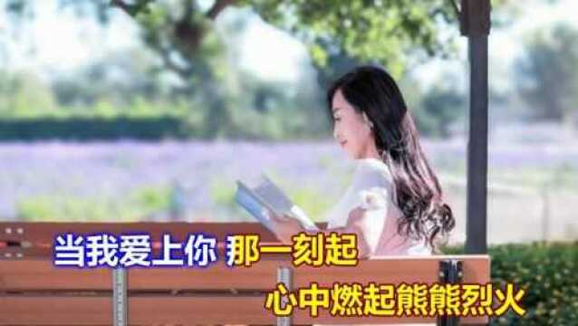 陈娇  当我爱上你的那一刻 (DJ默涵伴奏版)